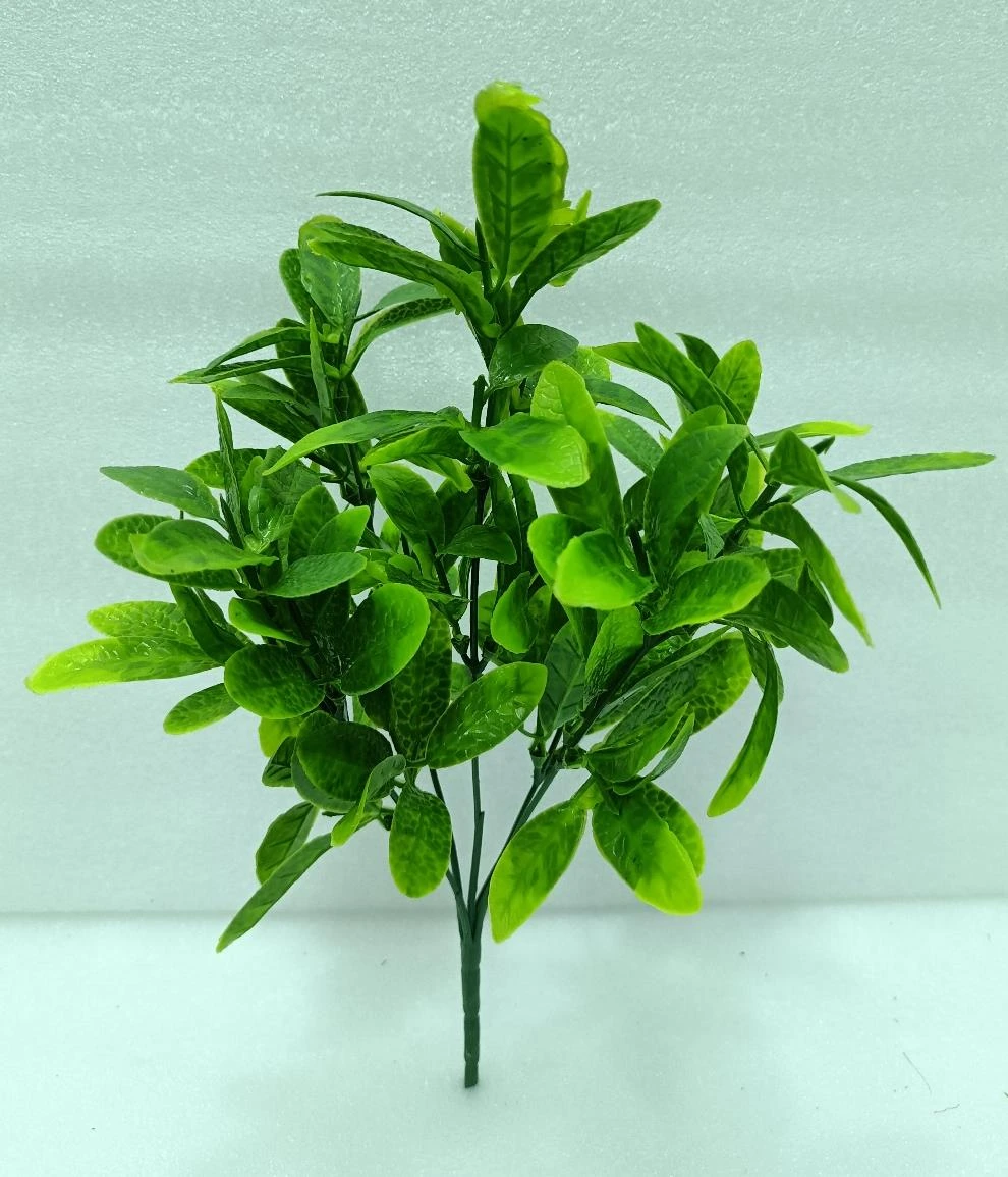 Citrus Leaves Bunch x 5